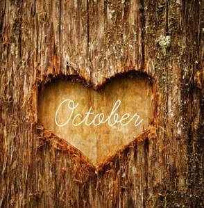 tumblr_mtz55xkwVI1rg78vco1_500