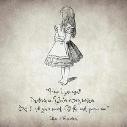 have-i-gone-mad-quote-taylan-soyturk