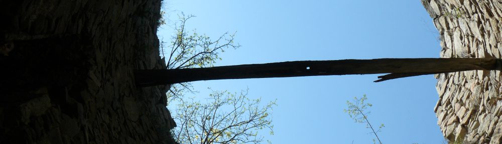 Un Jurnal Neverosimil