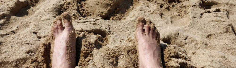 Un Jurnal Neverosimil