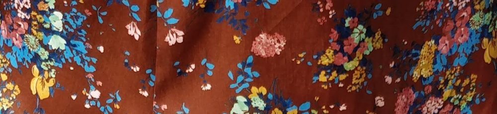 Un Jurnal Neverosimil