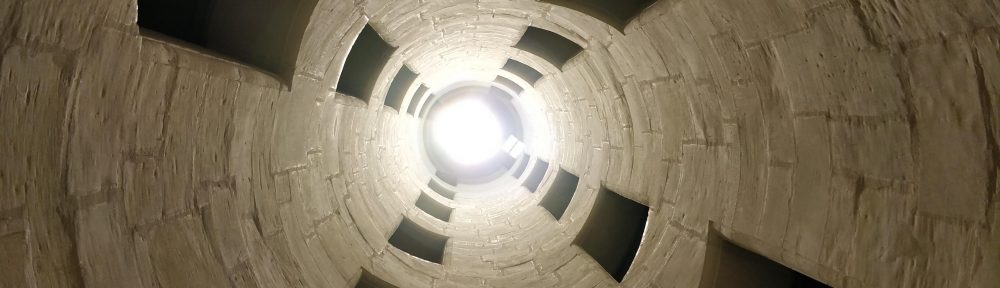 Un Jurnal Neverosimil