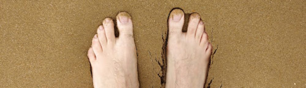 Un Jurnal Neverosimil