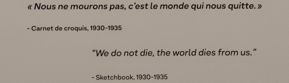 Un Jurnal Neverosimil